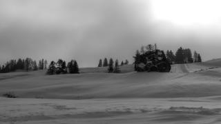 Snow 1