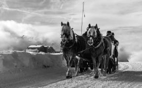 Sleigh ride