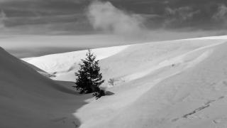 Snow 4