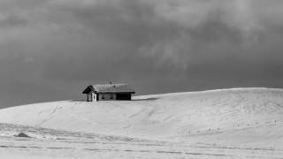 Shelter 1